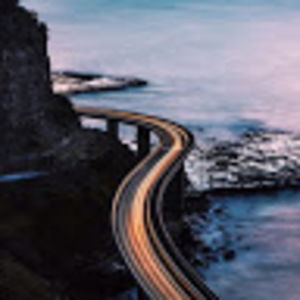 Meet your Posher, Marley